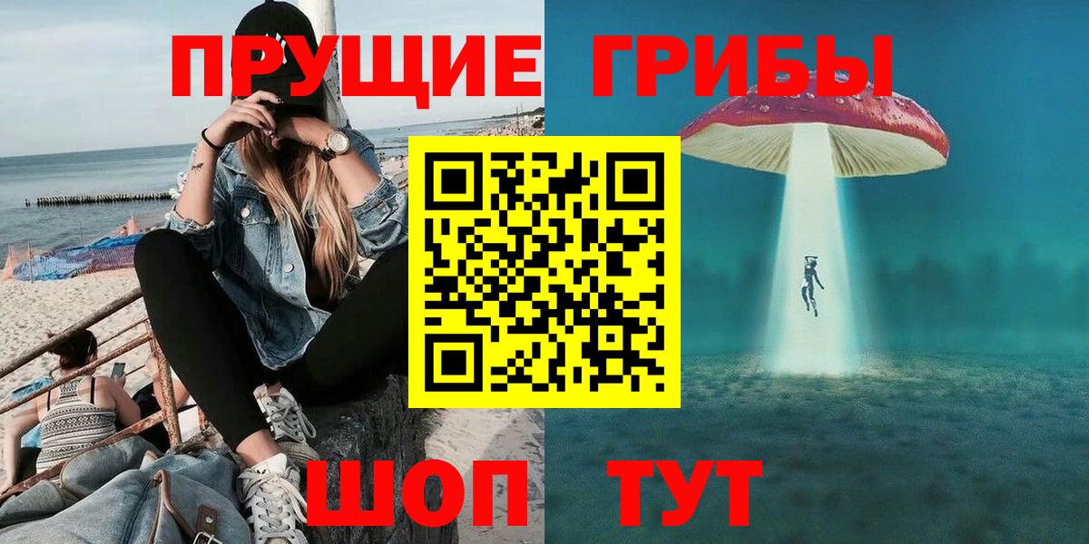 Галлюциногенные грибы прущие грибы  Псилоцибиновые грибы мицелий  Вход с VPN  Новошахтинск 